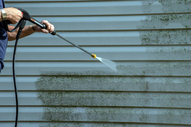Best Vinyl Siding Pressure Washing in Tazewell, VA